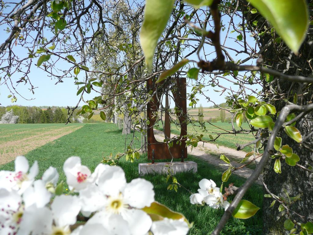 Ferienwohnungen Haus Sauer Offenheim Exteriör bild