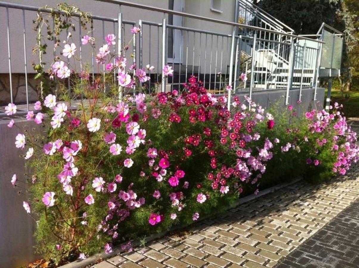 Ferienwohnungen Haus Sauer Offenheim Exteriör bild